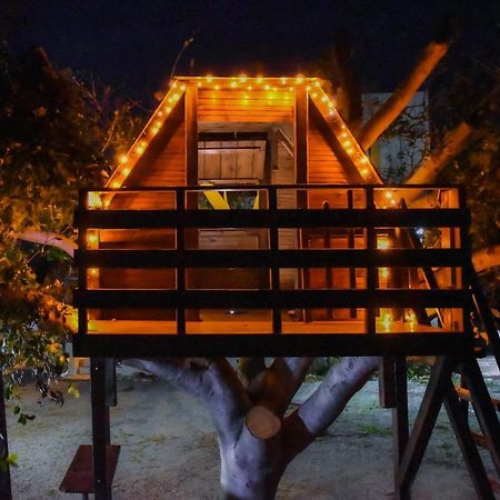 Villa Marqua Kalavárda エクステリア 写真